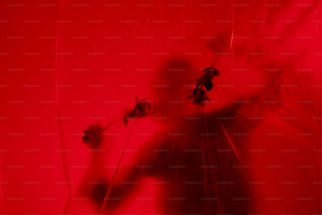 “鲜花经济”美丽开放